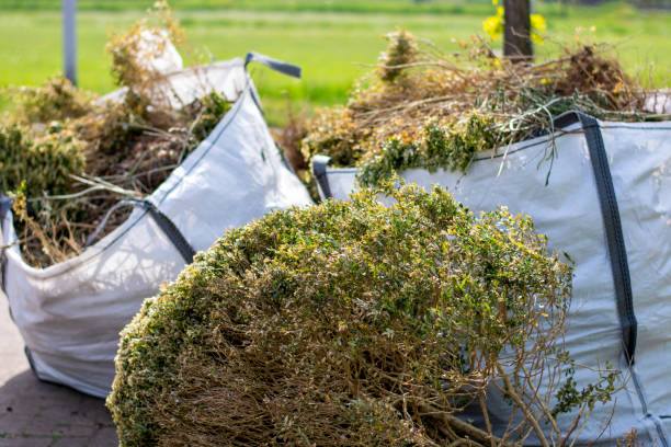 Best Shed Removal  in Mcminnville, TN