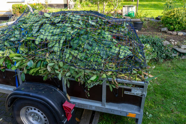 Best Shed Removal  in Mcminnville, TN